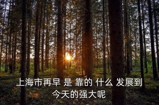 上海市再早 是 靠的 什么 發展到今天的強大呢