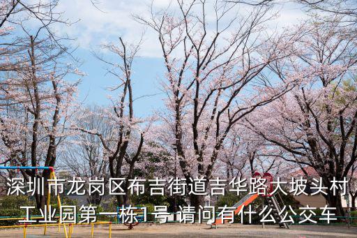 深圳市龍崗區布吉街道吉華路大坡頭村工業園第一棟1號 請問有什么公交車