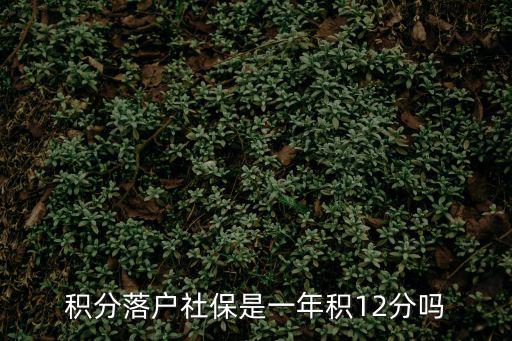 積分落戶社保是一年積12分嗎