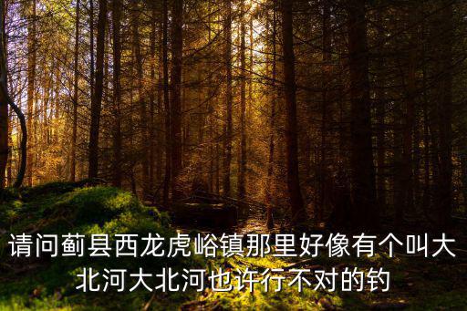 請問薊縣西龍虎峪鎮(zhèn)那里好像有個叫大北河大北河也許行不對的釣