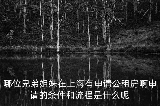 哪位兄弟姐妹在上海有申請公租房啊申請的條件和流程是什么呢