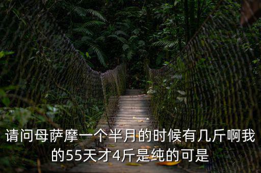 請問母薩摩一個半月的時候有幾斤啊我的55天才4斤是純的可是