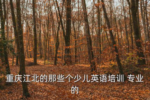 重慶江北的那些個(gè)少兒英語培訓(xùn) 專業(yè)的