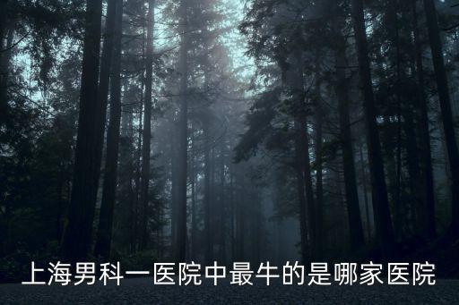 上海男科一醫院中最牛的是哪家醫院