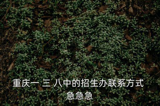 重慶一 三 八中的招生辦聯(lián)系方式 急急急
