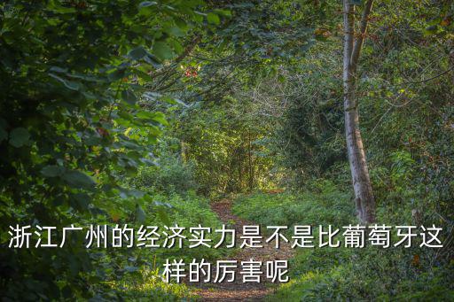 浙江廣州的經(jīng)濟(jì)實(shí)力是不是比葡萄牙這樣的厲害呢