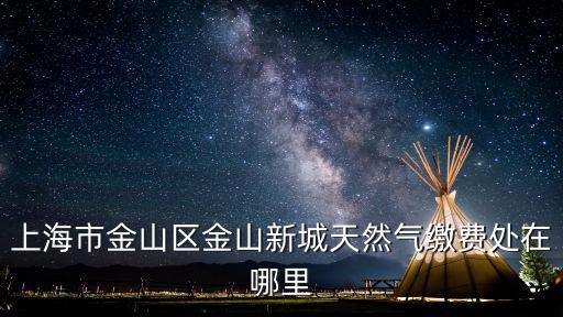 上海市金山區金山新城天然氣繳費處在哪里