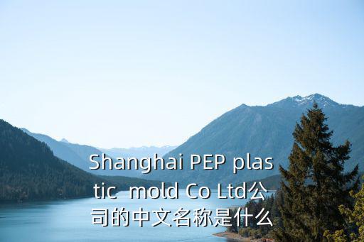 Shanghai PEP plastic  mold Co Ltd公司的中文名稱是什么