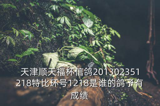 天津順天福杯信鴿201302351218特比環(huán)號(hào)1218是誰(shuí)的鴿子有成績(jī)