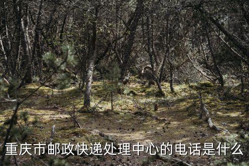重慶市郵政快遞處理中心的電話是什么