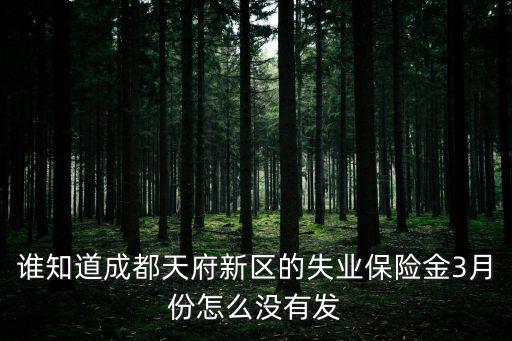 誰知道成都天府新區的失業保險金3月份怎么沒有發
