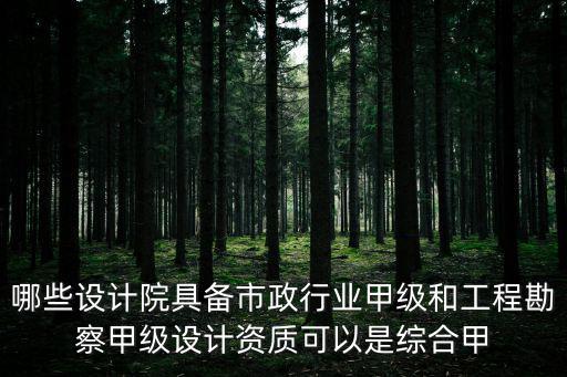 重慶市市政設計研究院工程師評定，重慶市市政設計研究院怎么樣