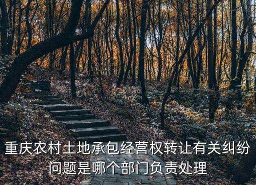 重慶農(nóng)村土地承包經(jīng)營(yíng)權(quán)轉(zhuǎn)讓有關(guān)糾紛問(wèn)題是哪個(gè)部門(mén)負(fù)責(zé)處理
