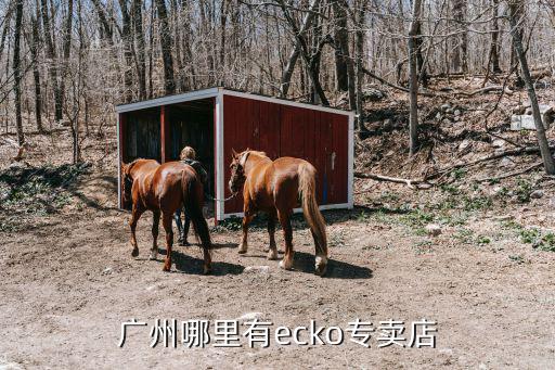 廣州哪里有ecko專賣店
