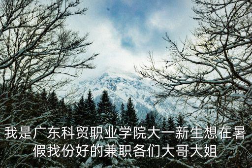我是廣東科貿職業學院大一新生想在暑假找份好的兼職各們大哥大姐