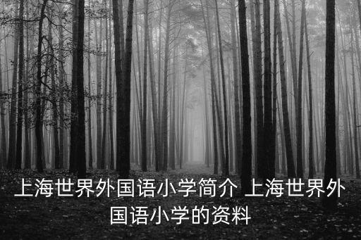 上海世界外國(guó)語(yǔ)小學(xué)簡(jiǎn)介 上海世界外國(guó)語(yǔ)小學(xué)的資料
