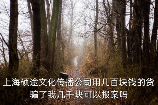 上海碩途文化傳播公司用幾百塊錢的貨騙了我?guī)浊K可以報案嗎