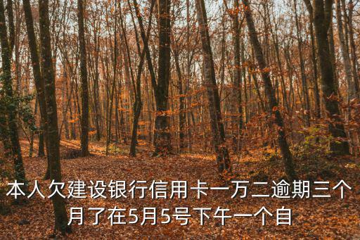 本人欠建設銀行信用卡一萬二逾期三個月了在5月5號下午一個自