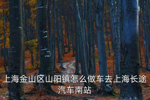 上海金山區山陽鎮怎么做車去上海長途汽車南站