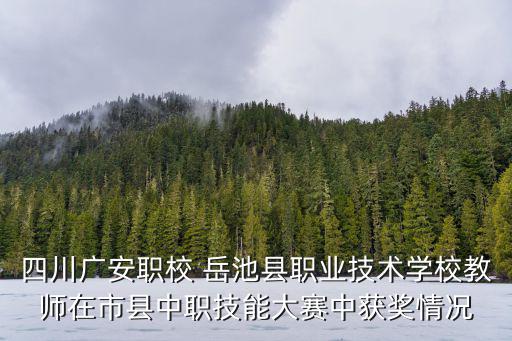 成都市中高技能大賽，四川廣安職校 岳池縣職業技術學校教師在市縣中職技能大賽中獲獎情況