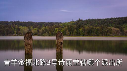 青羊金福北路3號詩麗堂轄哪個派出所