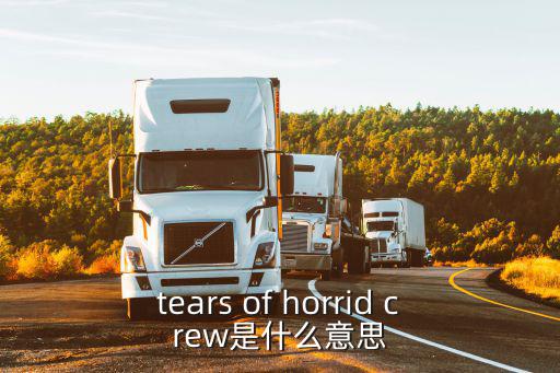 廣州stocrew含義，廣州sto中文翻譯