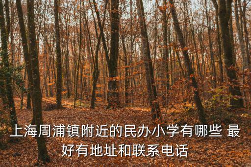 上海市蕃瓜弄小學電話，上海周浦鎮附近的民辦小學有哪些 最好有地址和聯系電話