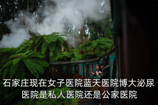石家莊現在女子醫院藍天醫院博大泌尿醫院是私人醫院還是公家醫院