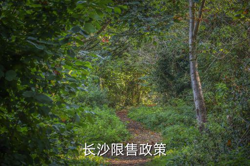 長沙限售政策