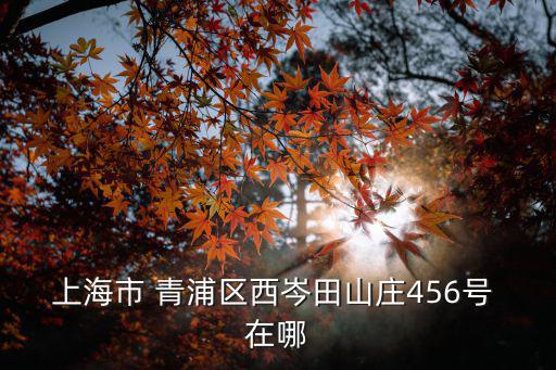 青浦西岑樓盤，上海市 青浦區(qū)西岑田山莊456號(hào) 在哪