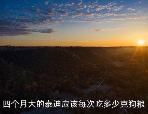 四個(gè)月大的泰迪應(yīng)該每次吃多少克狗糧
