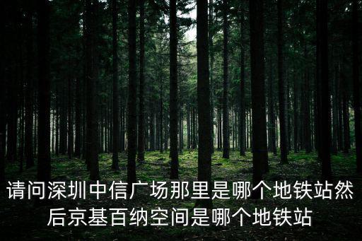 深圳北到京基百納空間，深圳北站到京基100大廈坐什么車