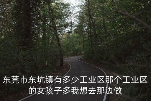 東莞市東坑鎮有多少工業區那個工業區的女孩子多我想去那邊做