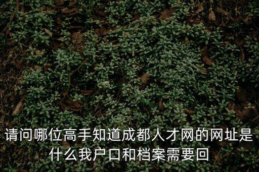 成都市人才公共服務(wù)平臺官網(wǎng)，成都人才市場