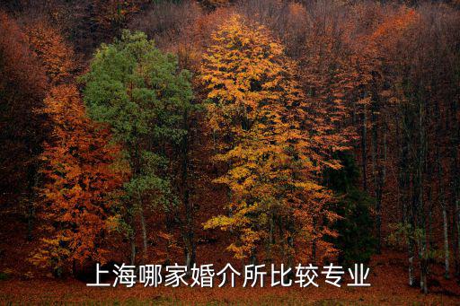 上海市寶山區婚姻介紹所有幾家，寶山區婚姻介紹所在哪里