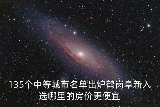 135個中等城市名單出爐鶴崗阜新入選哪里的房價更便宜