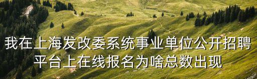 我在上海發(fā)改委系統(tǒng)事業(yè)單位公開招聘平臺上在線報名為啥總數(shù)出現(xiàn)