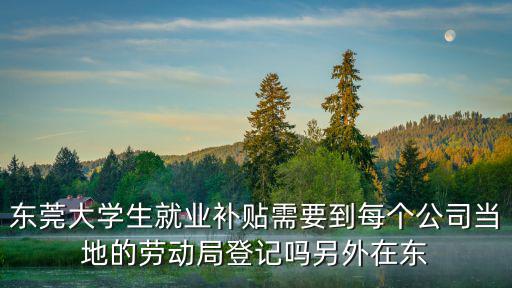 東莞大學(xué)生就業(yè)補(bǔ)貼需要到每個(gè)公司當(dāng)?shù)氐膭趧?dòng)局登記嗎另外在東