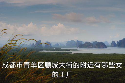 成都市青羊區(qū)順城大街團(tuán)組織，成都市青羊區(qū)順城大街的附近有哪些女的工廠