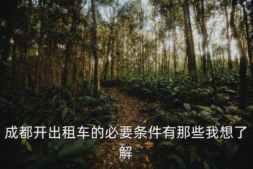 成都開出租車的必要條件有那些我想了解