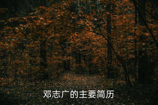 鄧志廣的主要簡歷
