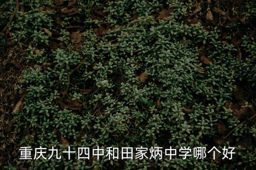 重慶市田家炳中學采購，重慶田家炳學校高中情況