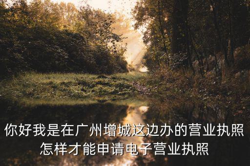 你好我是在廣州增城這邊辦的營業執照怎樣才能申請電子營業執照