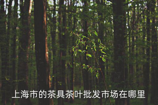 上海市的茶具茶葉批發市場在哪里