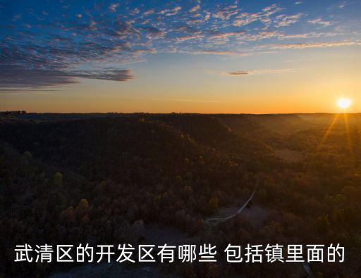 武清區的開發區有哪些 包括鎮里面的