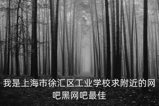 我是上海市徐匯區(qū)工業(yè)學校求附近的網吧黑網吧最佳