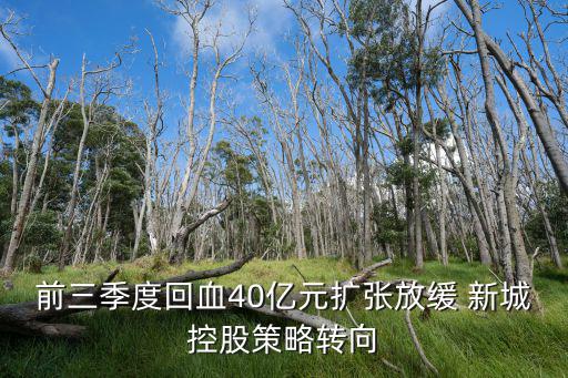 天津市民營經(jīng)濟2018前三季度，深圳民營經(jīng)濟占gdp比重
