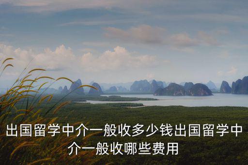 留學生落戶上海中介費用，留學生落戶上海有必要找中介嗎