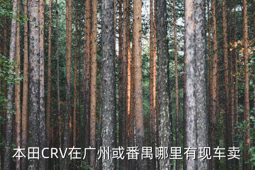 本田CRV在廣州或番禺哪里有現(xiàn)車(chē)賣(mài)