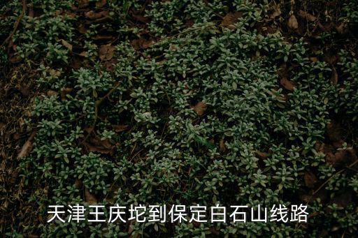 天津市離白石山多遠，天津到河北省萊源白石山玻璃道景區多少公里